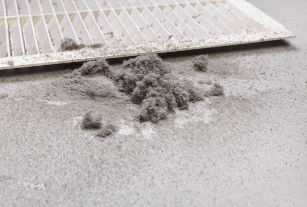 Best Best Air Duct Cleaning Company  in Hart, TX