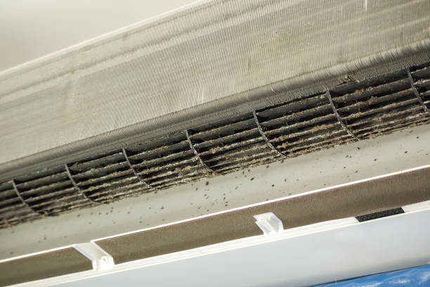 Best Ventilation Cleaning Services  in Hart, TX